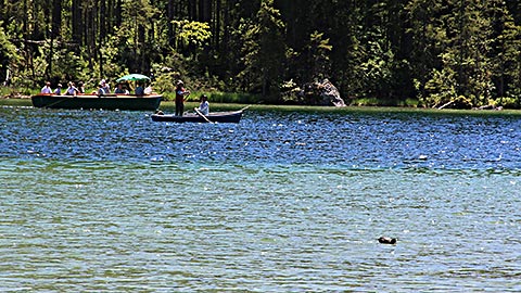 Hintersee - Spaziergang - Wandern – Erholung