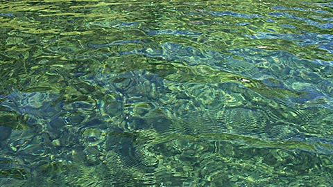 Hintersee - der Bergsee mit dem klaren Wasser