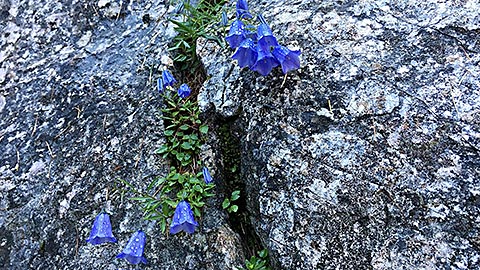 Bergtour Berchtesgaden - grandiose Aussicht