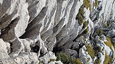 Bergtour Berchtesgaden - Murmeltiere live erleben