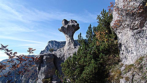 Bergtour Berchtesgaden - Almen beim Aufstieg