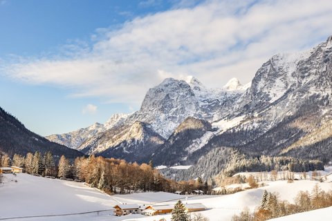 0000226Januar1.jpg