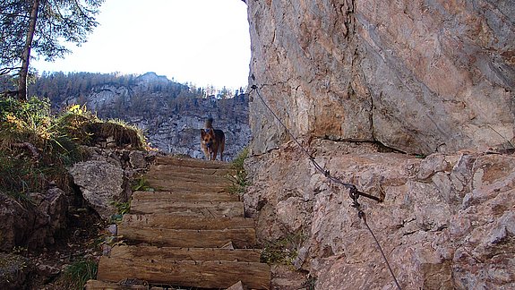 Urlaub mit dem Hund in Berchtesgaden