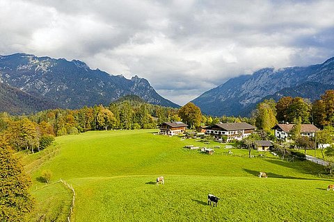 wie auf der Alm