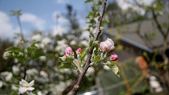 Urlaub in Brückentagen im Frühling