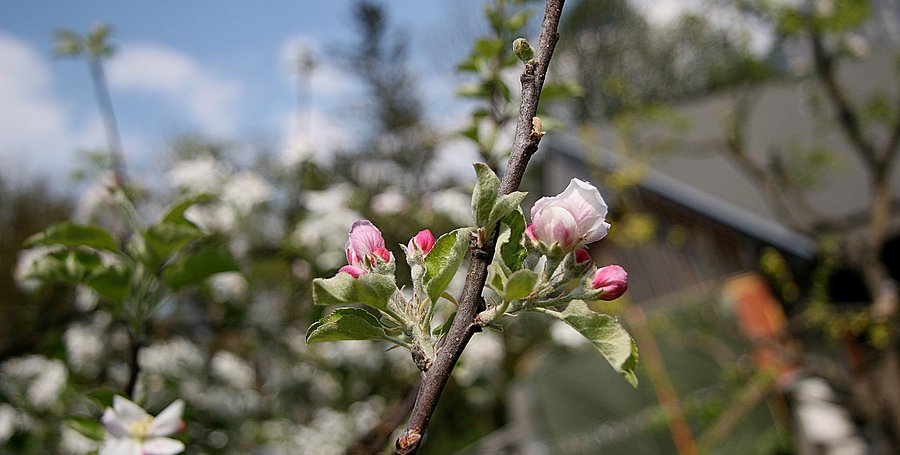 Urlaub an Brückentagen im Frühling