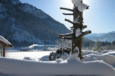 Urlaub-auf-dem-Bauernhof-Bognerlehen-Winter-001.jpg