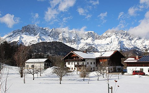 Ferienwohnungen auf dem Bauernhof