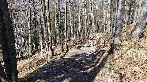 Osterferien, Wandern und Erholen im Wald