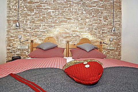 Zweizimmer Appartement Gamsnest