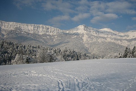 lattengebirge.jpg