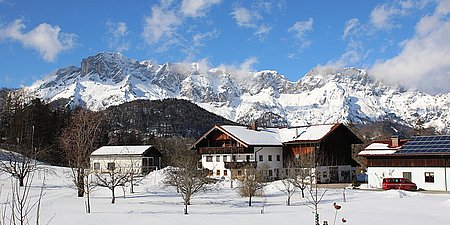 Ferienwohnung-Urlaub-auf-dem-Bauernhof-Greobenlehen-054.jpg