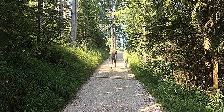 Bergtour Berchtesgaden - weites Wegenetz