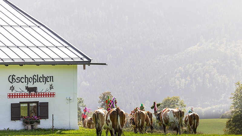 Bergbauernhof Gschosslehen in der Ramsau/Obb - Urlaub Bauernhof