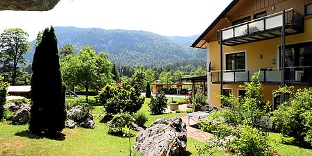 IMG_3597.JPG