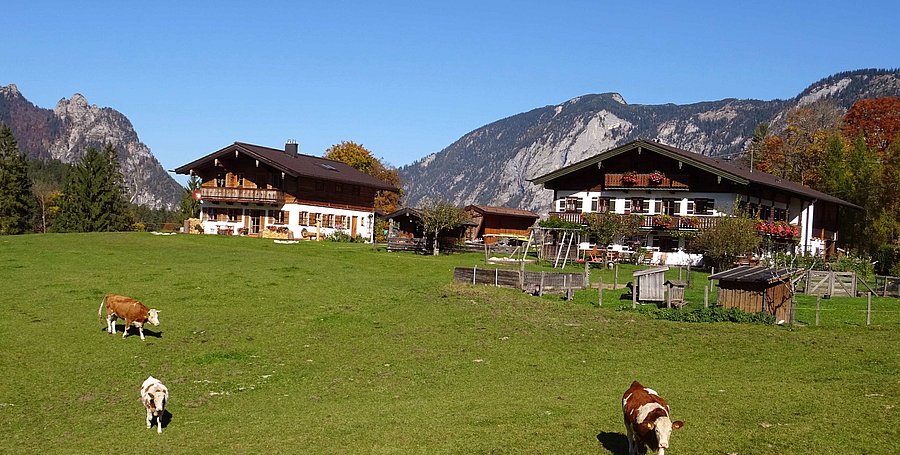 Herbst auf dem Bauernhof