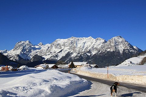 Urlaub-auf-dem-Bauernhof-Groelllehen-Ramsau-Winter-003.jpg