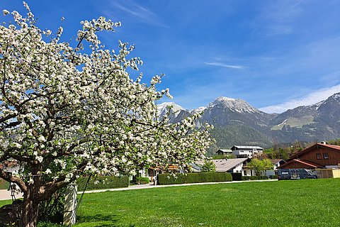 Ferienwohnung Kehlstein - Gästehaus Bodnerlehen
