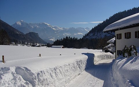 Ferienwohnungen Haus Obergreinswiesen