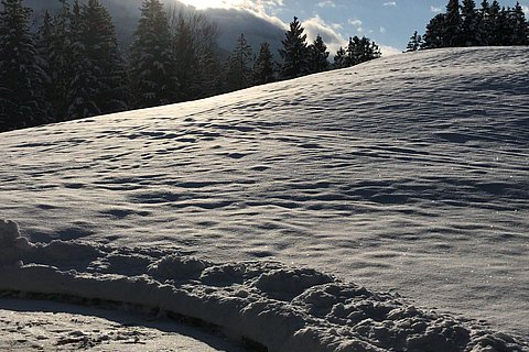 Ferienwohnung Untersbergblick.  Großzügige Ferienwohnung mit traumhaften Bergpanorama in ruhiger Lage