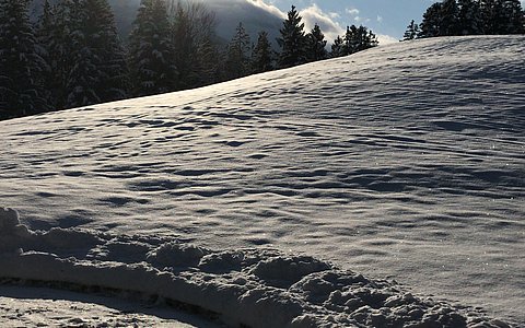 Ferienwohnung Untersbergblick.  Großzügige Ferienwohnung mit traumhaften Bergpanorama in ruhiger Lage