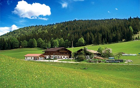 Stöcklhof in Ramsau Hochschwarzeck