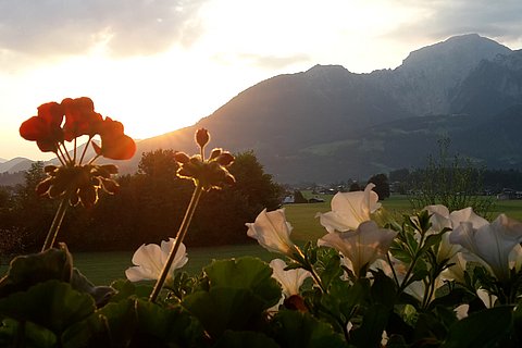 Morgenstimmung FeWo Watzmann