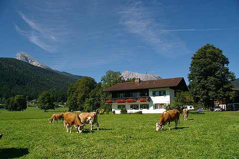 Nebenhaus_31a.jpg
