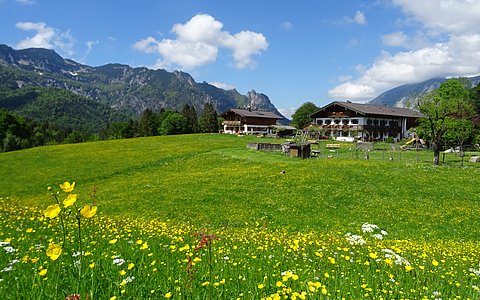 gemütliche Ferienwohnung mit Bergpanorama im Unterthürlehen