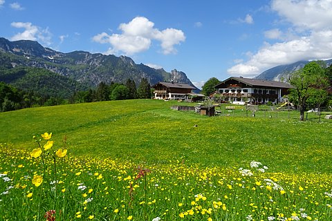 neu renovierte Ferienwohnung "Watzmann" mit Bergpanorama im Unterthürlehen