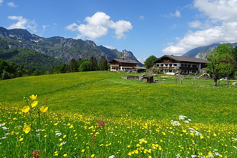 gemütliche Ferienwohnung mit Bergpanorama im Unterthürlehen