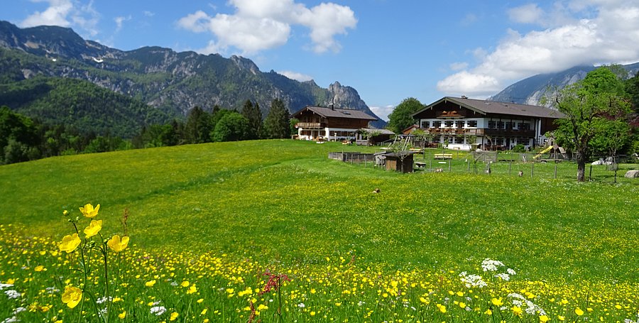 Bauernhof-Frühling.JPG