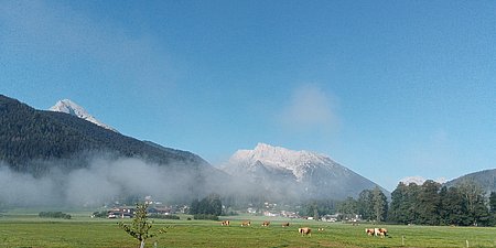 Ausblick_FeWo_JENNER.jpg