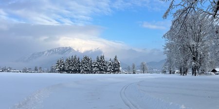 IMG_7318.jpg