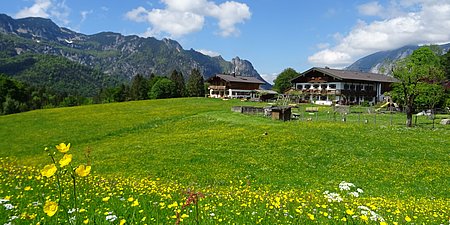 Bauernhof-Frühling.JPG