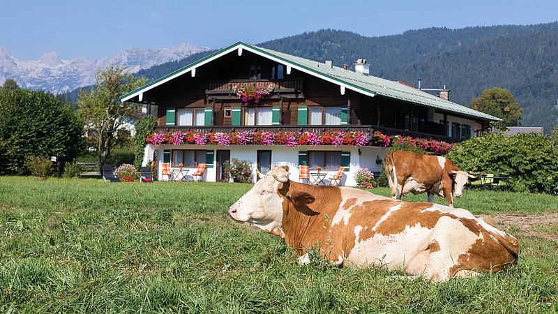 Ferienwohnungen im Drachllehen und Unterödlehen in der Schönau am Königssee