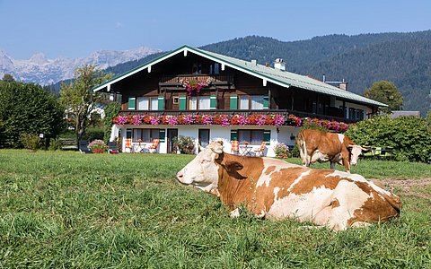 Ferienwohnungen im Drachllehen in der Schönau