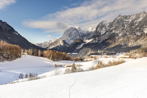 0000126Januar1.jpg