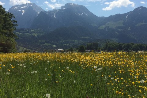 Angrenzende Felder mit Bergansicht