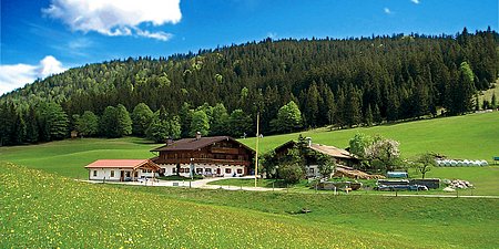 Stoecklhof-Ramsau-Sommer.jpg