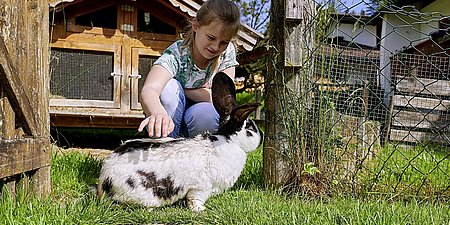 Urlaub-Bauernhof-wiesenhaeusl-Tiere-Sommer.jpg