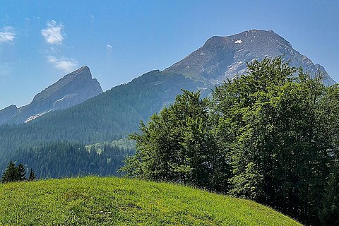 Ferienwohnung-Ramsau-Aussicht-Voss-001.jpg