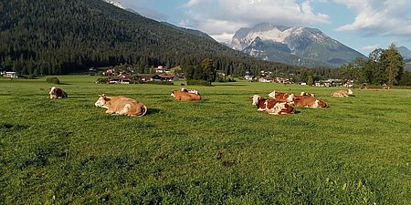 20220812_074918_HDR.jpg