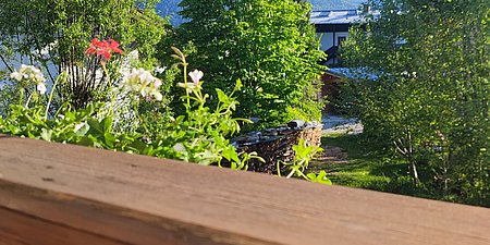 IMG_20250511_181526.jpg
