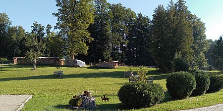 Blick_in_den_Garten.jpg