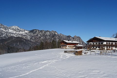 unser Bauernhof mit Blick auf die Berchtesgadener Berge