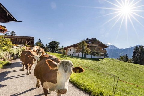 Schoberlehen-Urlaub-Bauernhof-Chalet-Berge-Image-05.jpg